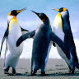 Meet your Posher, Arthur